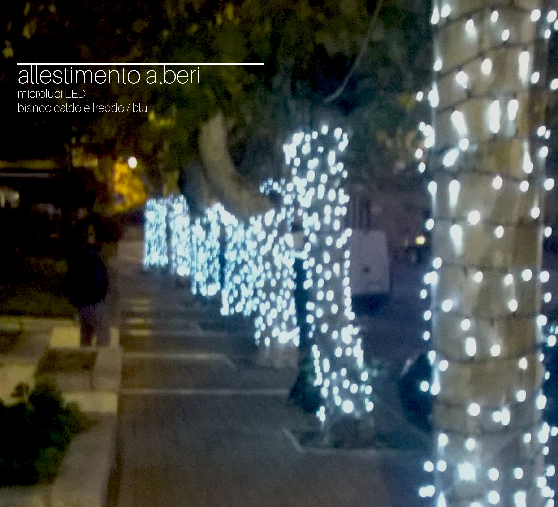 Allestimento Tronchi Allestimento Tronchi